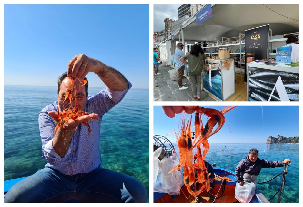 Per Slow Fish - gamberetto di Nassa di Crapolla