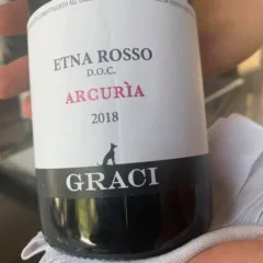 Arcuria 2018 Etna doc Graci