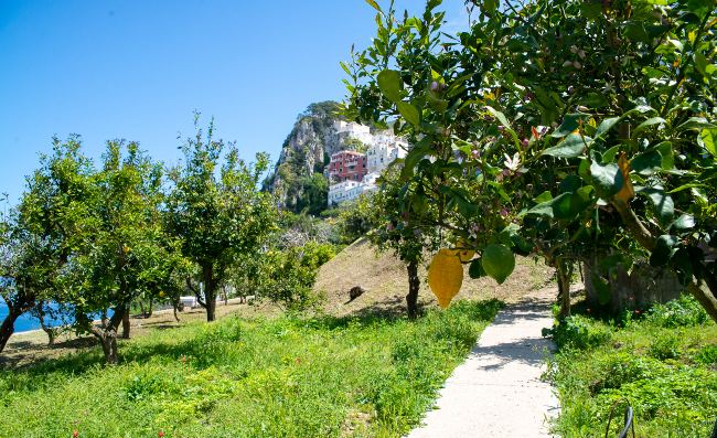 Capri - Il giardino mediterraneo di via Acquaviva di Gin Mare