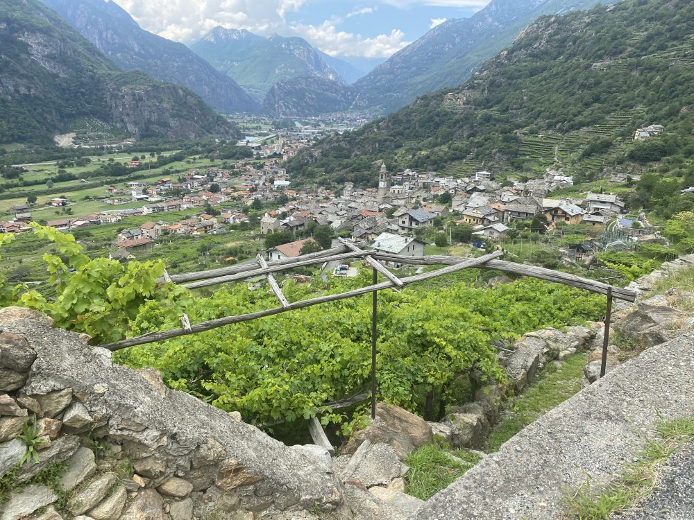 Carema - Panorama