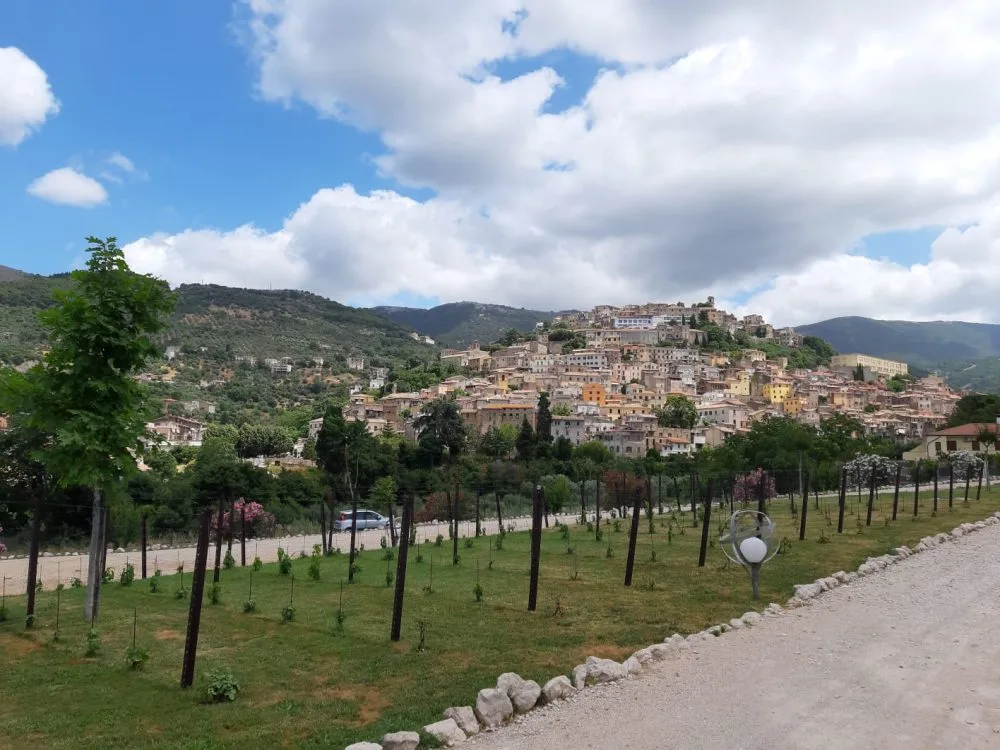 Cori e vigneto didattico