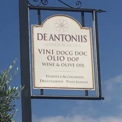 De Antoniis