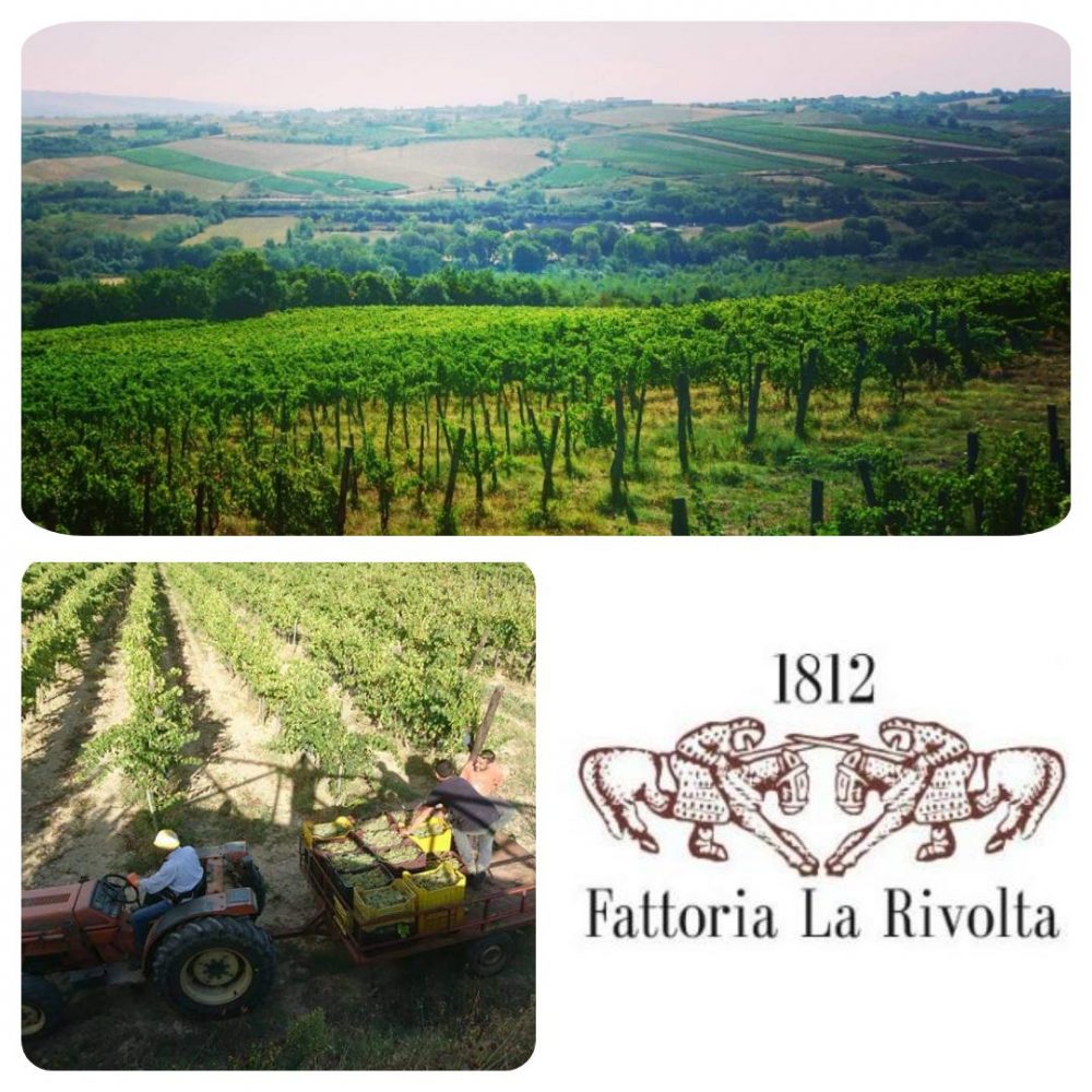 Fattoria La Rivolta