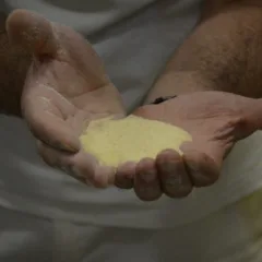 Grano di Altamura - semola