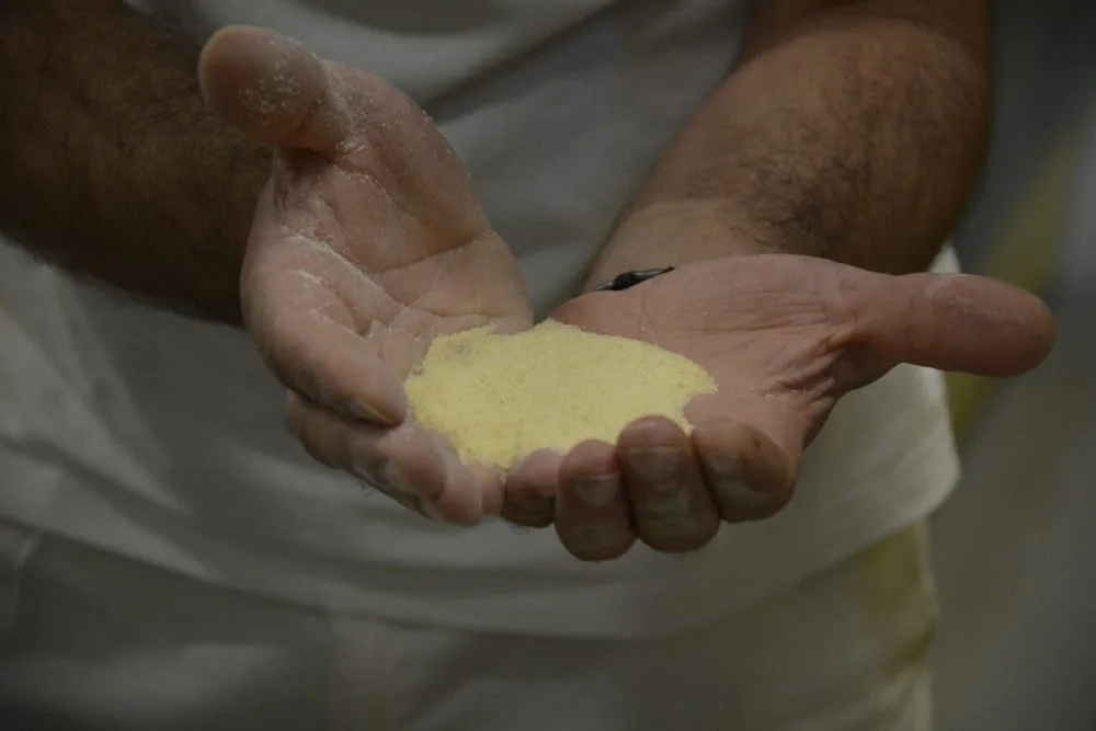 Grano di Altamura - semola