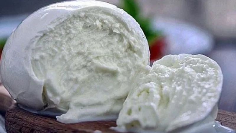 La Mozzarella della Fenice