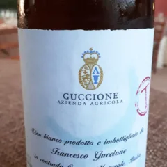 T di Francesco Guccione