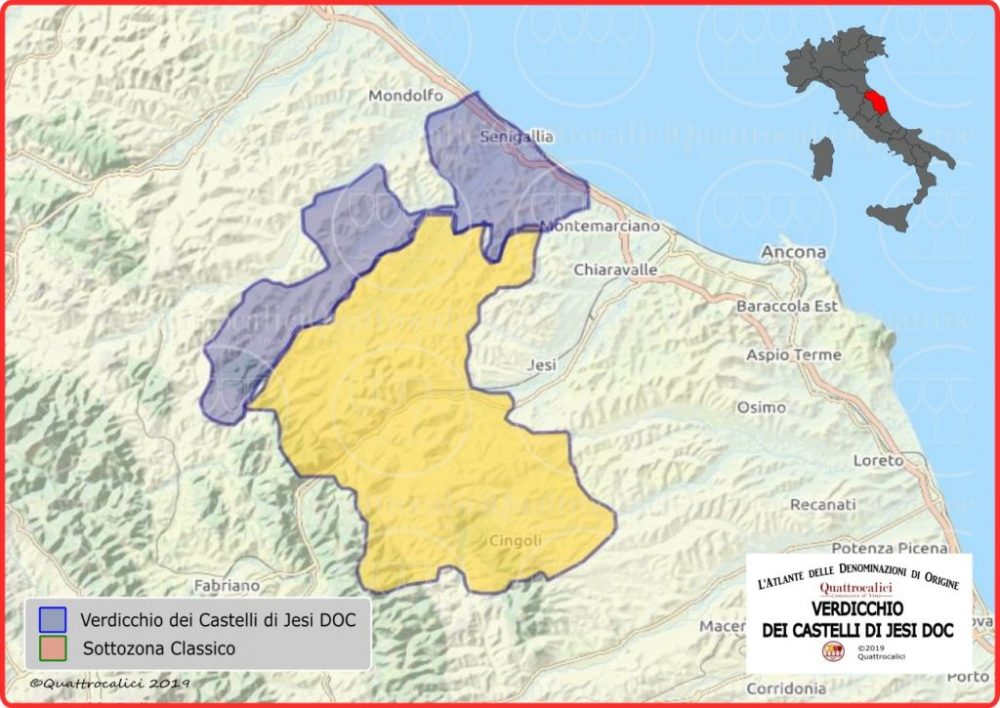 Verdicchio dei Castelli di Jesi Classico Superiore