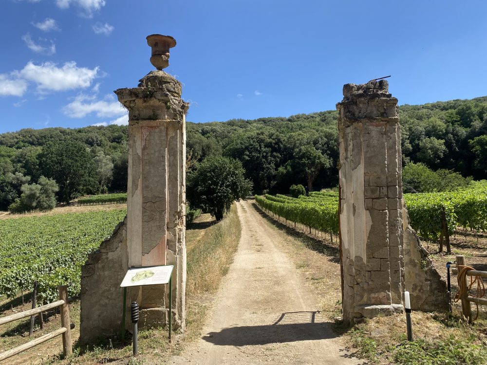 Vigna di San Silvestro - Ingresso