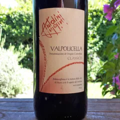 Valpolicella Classico 2007 Antolini