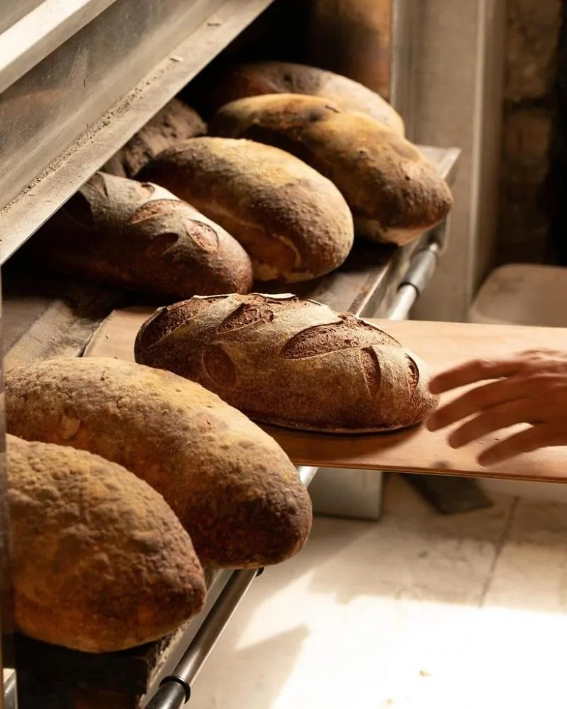 Mulino Urbano - Pane