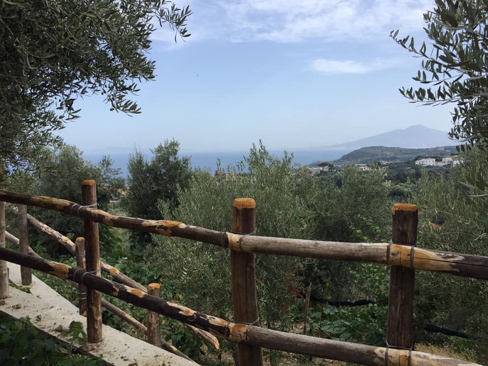 Il Turuziello, vista sul Vesuvio