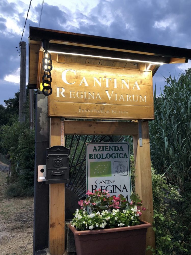 Cantina Regina Viarum - Ingresso