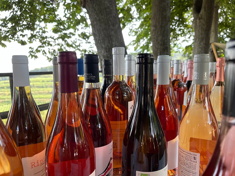 Drink Pink in Sicily