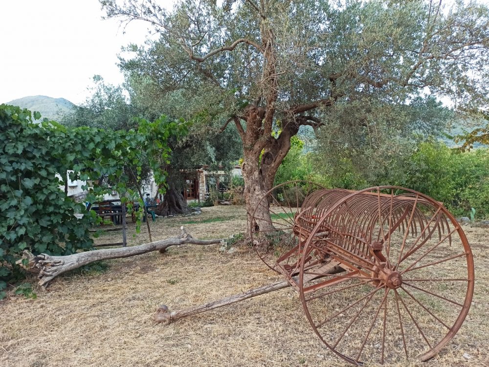Fattoria del Melopiano - Gli esterni