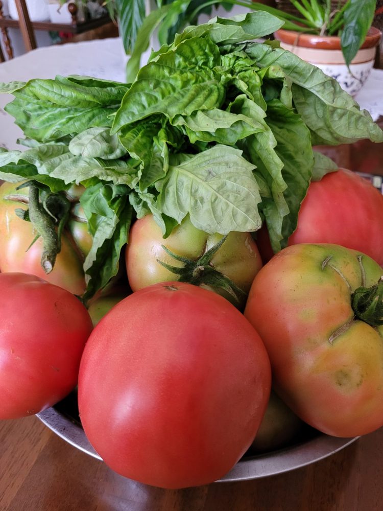 Insalata Caprese