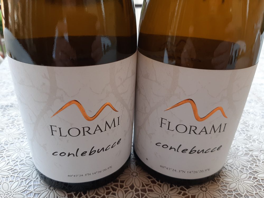 Vini conlebucce Falanghina Florami