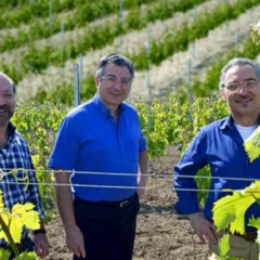 D’Arapri’ Brut Riserva Nobile 2016