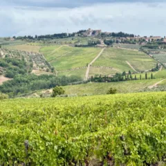 Castello dei Rampolla