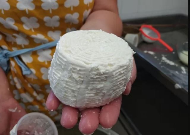 Agricola San Maurizio