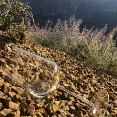 Eisacktal Valle Isarco Kellerei Cantina