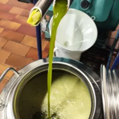 Olio Carpineto