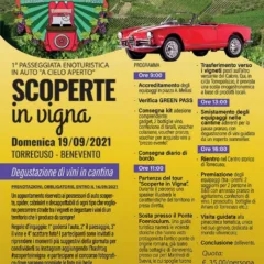 Scoperte in Vigna