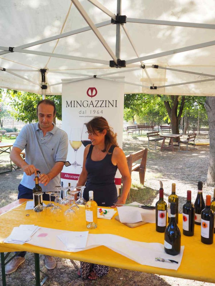 Tasting Cantine Mingazzini