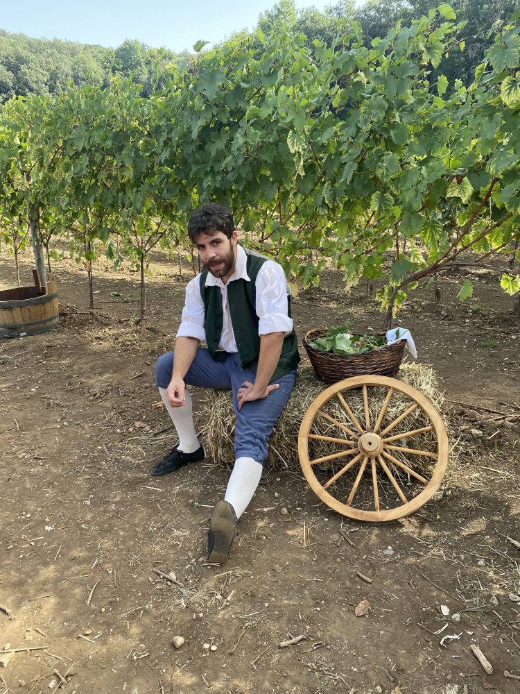 Vigna San Silvestro - momenti della vendemmia