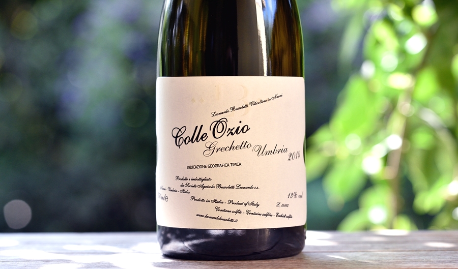 Grechetto Colle Ozio 2014 Leonardo Bussoletti