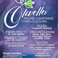 Olivella locandina