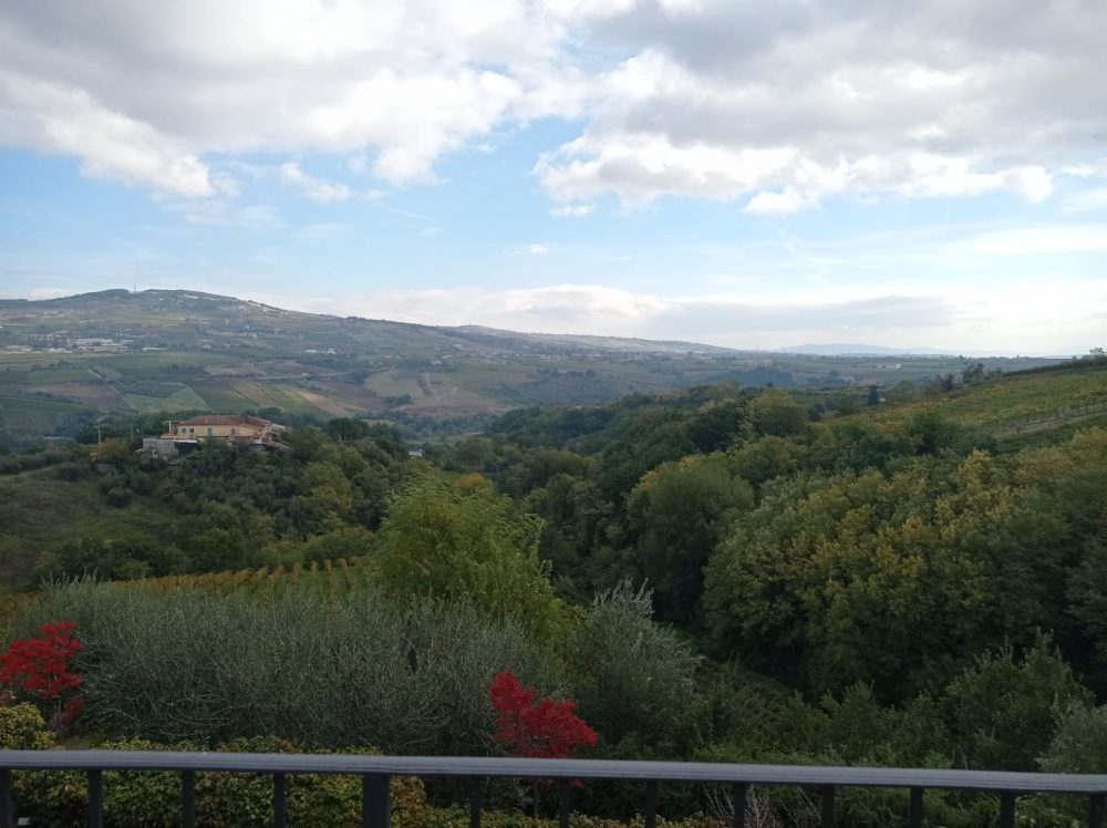 Panorama dall'azienda Fontanavecchia