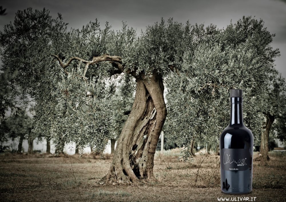 Albero e liquore