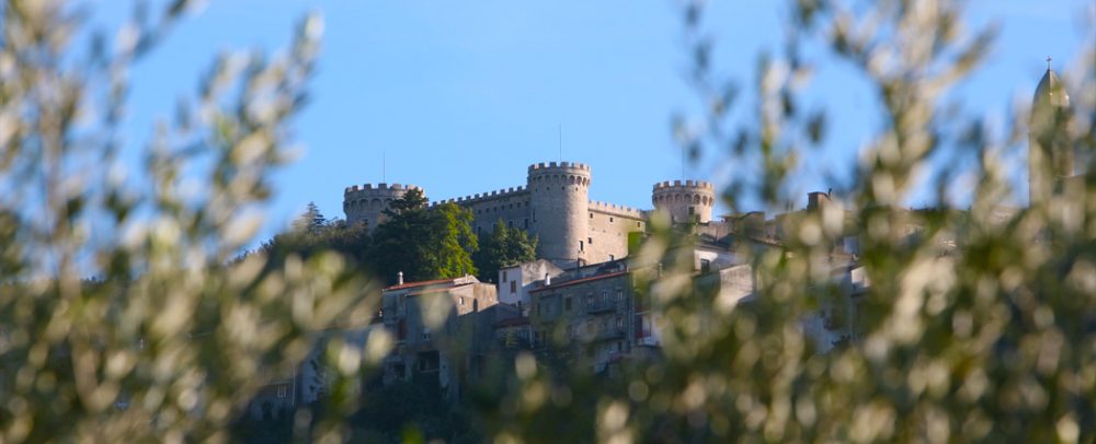 Castello tra gli olivi