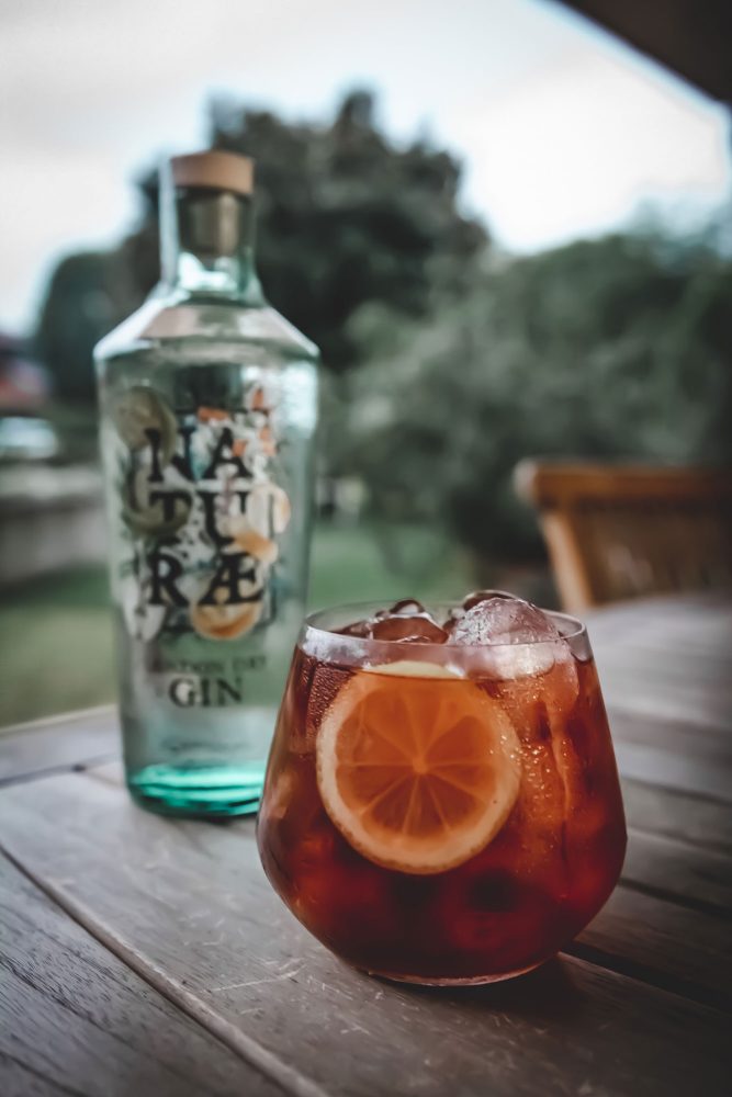 Gin Cocktail Negroni