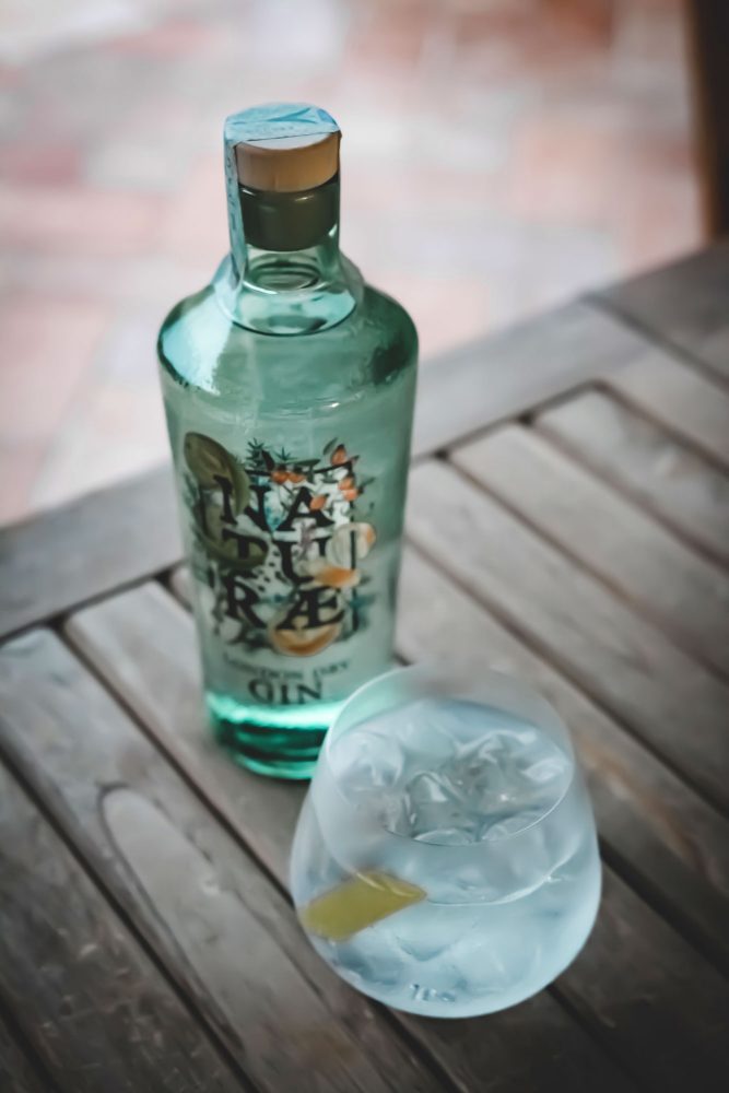 Gin Cocktail Tonic