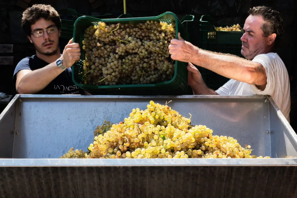 La Maesta' - Ermes e Fabio