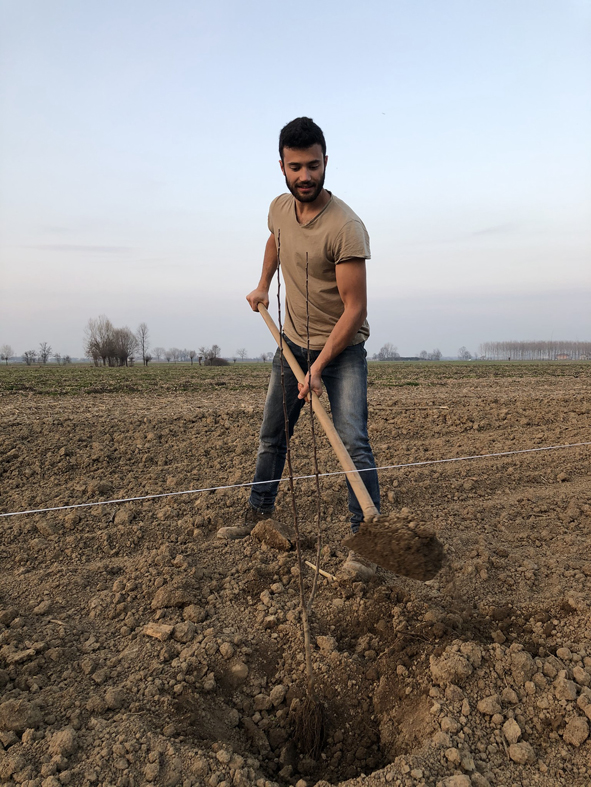 POM sidro creativo - Daniele Porporato e il suo primo pommoleto