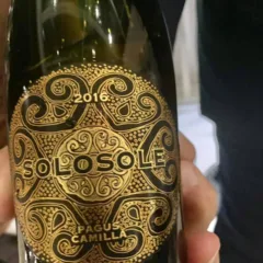Solosole Pagus Camilla 2016 Bolgheri doc, Poggio al Tesoro