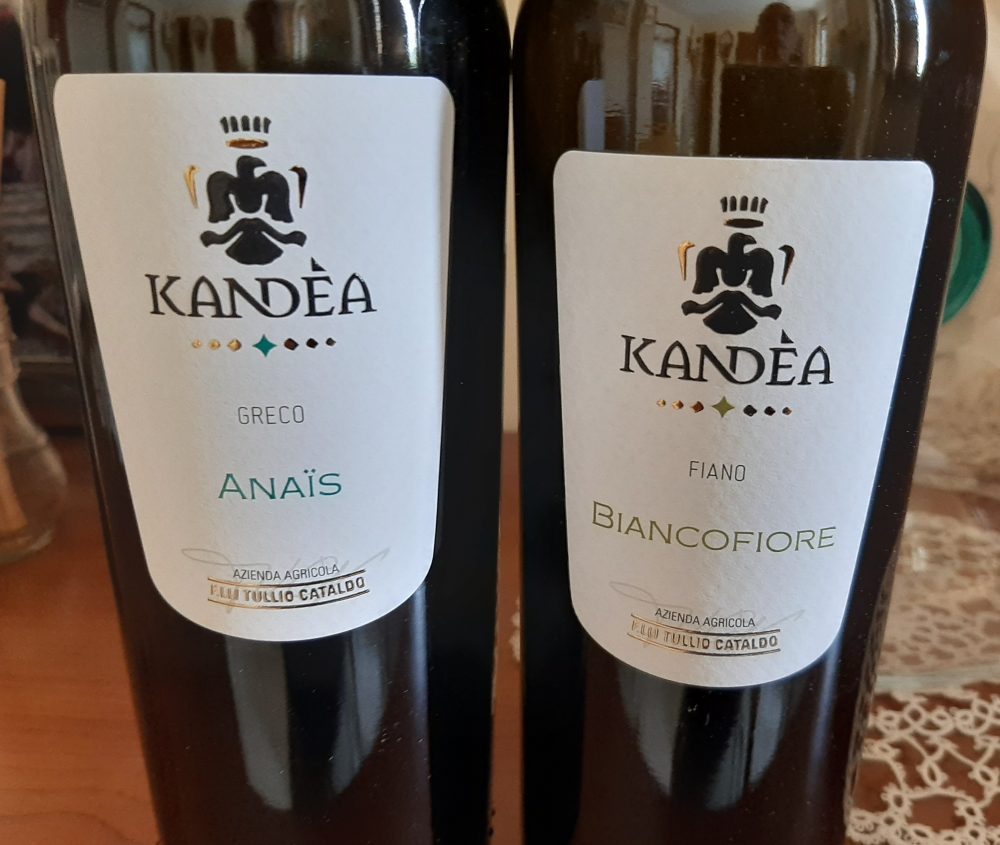 Vini Kandea