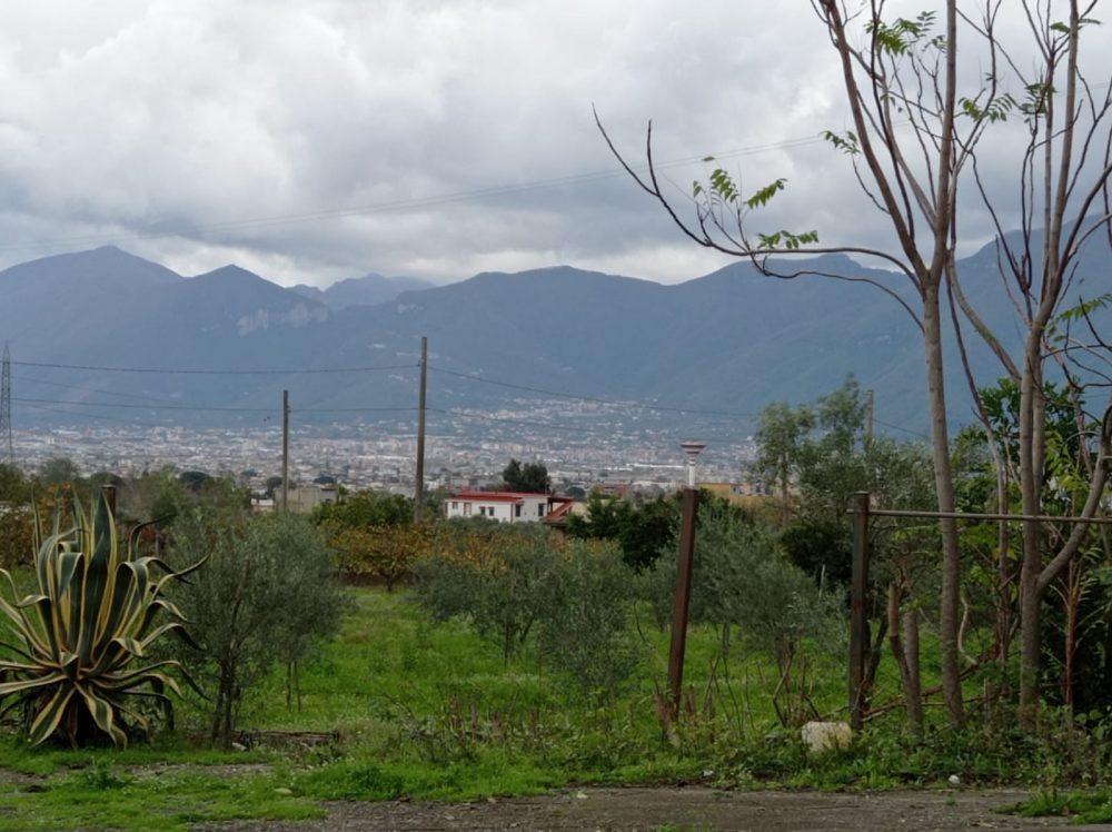 Casa Setaro. Panorama