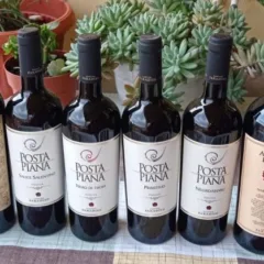 Vini Cantine Paradiso