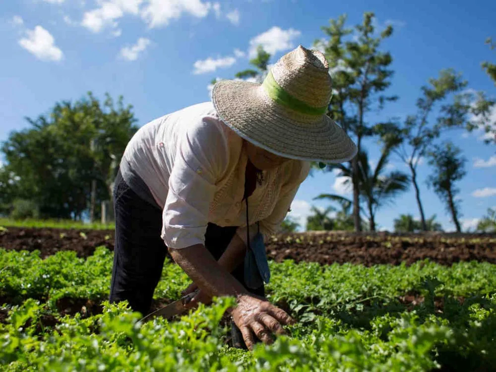 Agroecologia - Green Planner