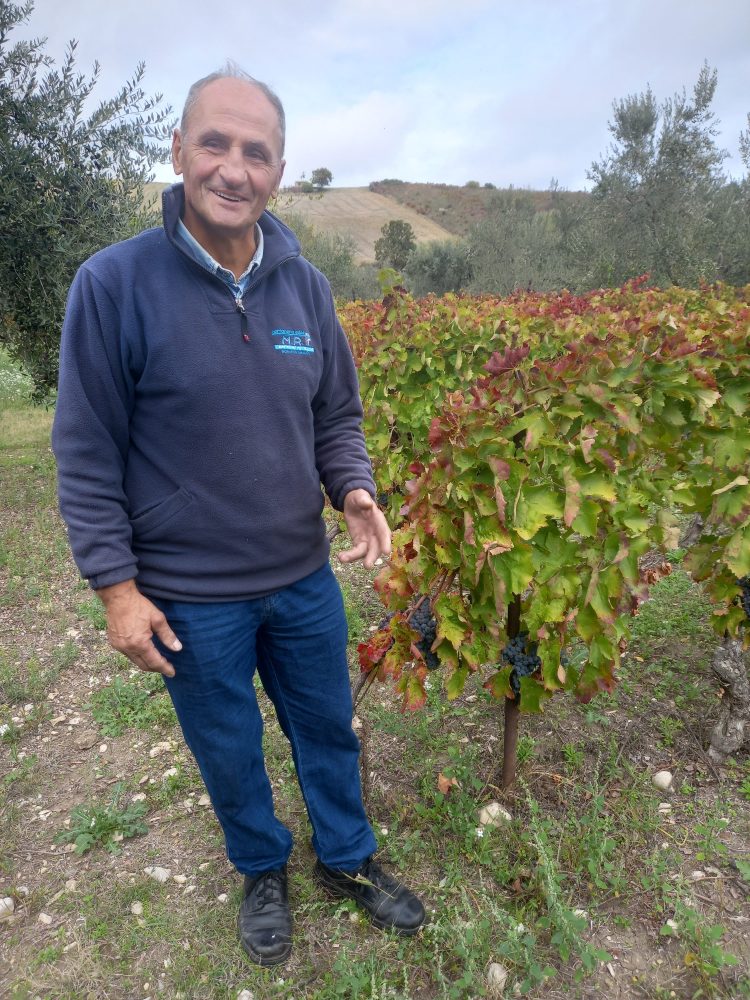 Antonio in uno dei suoi vigneti blu