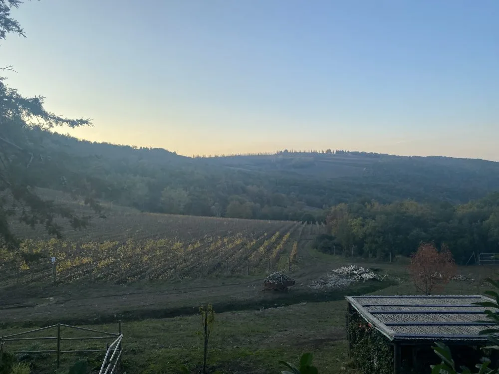 Benvenuto Brunello Vigna Carpineto