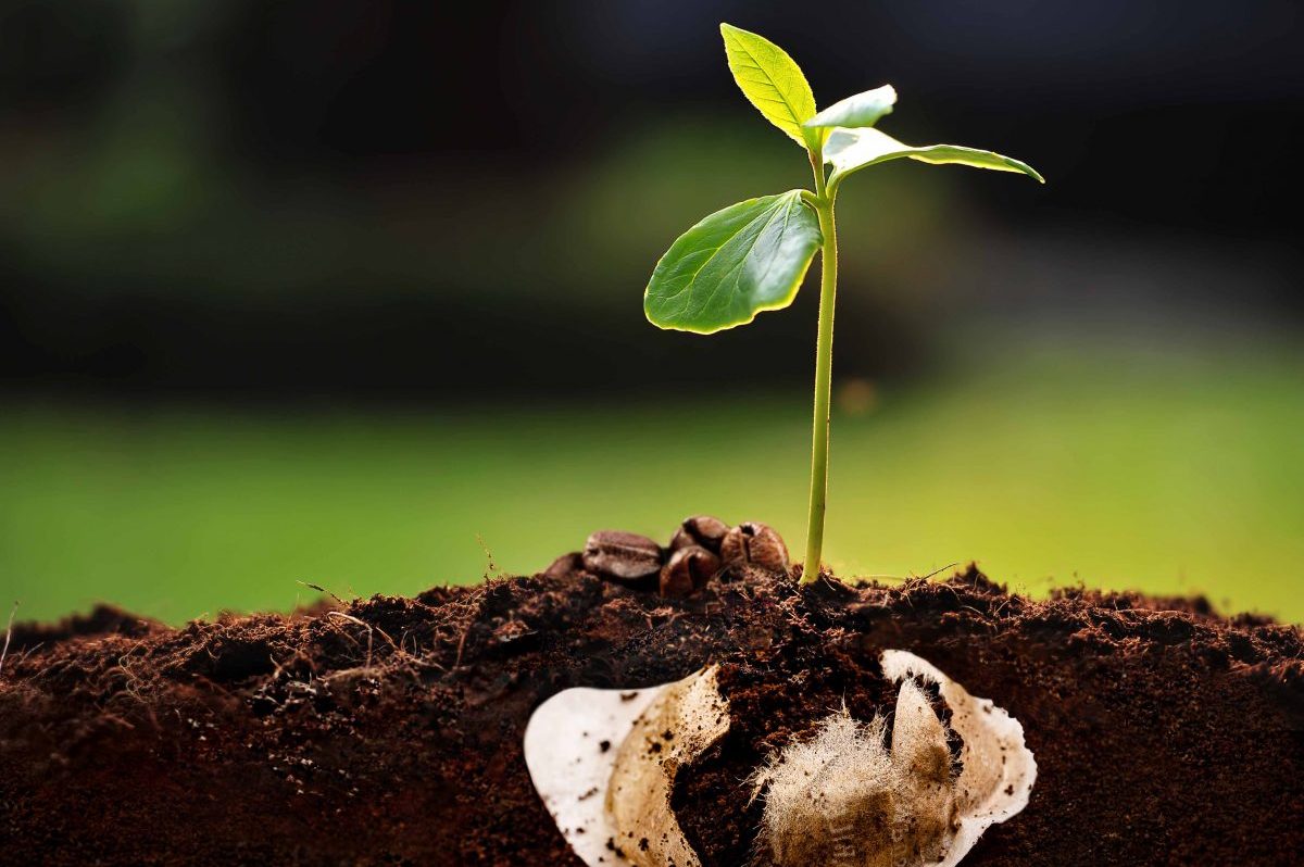 Caffè Borbone a Città della Scienza