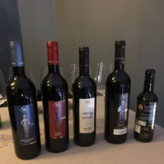 I vini e l'olio Pagani de Marchi