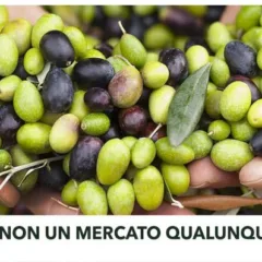 Il Mercato della Terra - Slow Food