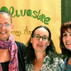 Le Olivastre che si battono per il recupero dei terreni antichi abbandonati