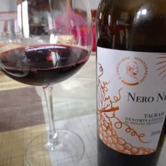 Nero Ne' Taurasi Docg 2016 Il Cancelliere